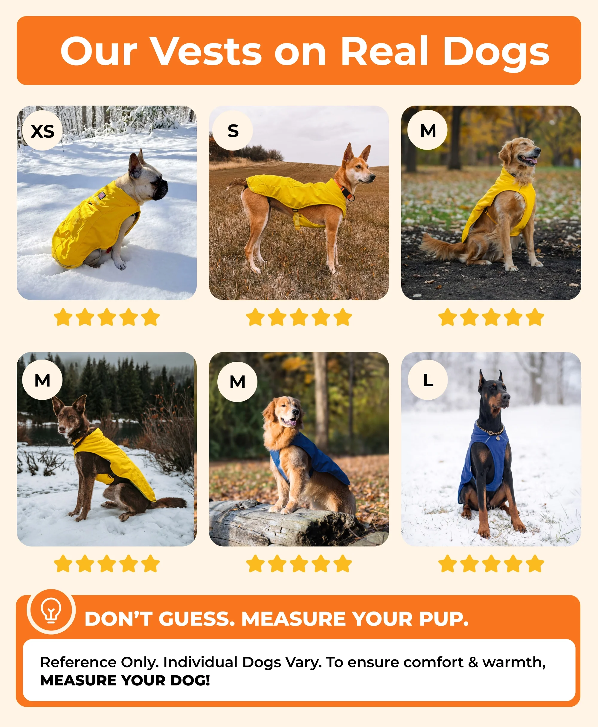 Koldpwoof Heated Dog Vest - Image 15
